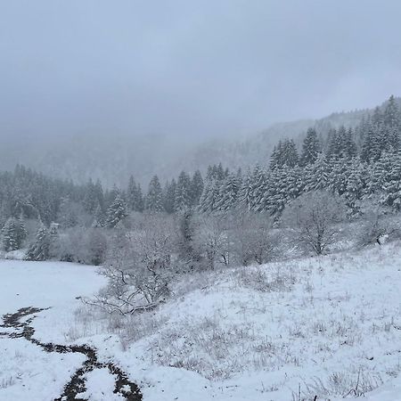 Appartement - Au Coeur Du Lac Blanc Orbey Exteriér fotografie
