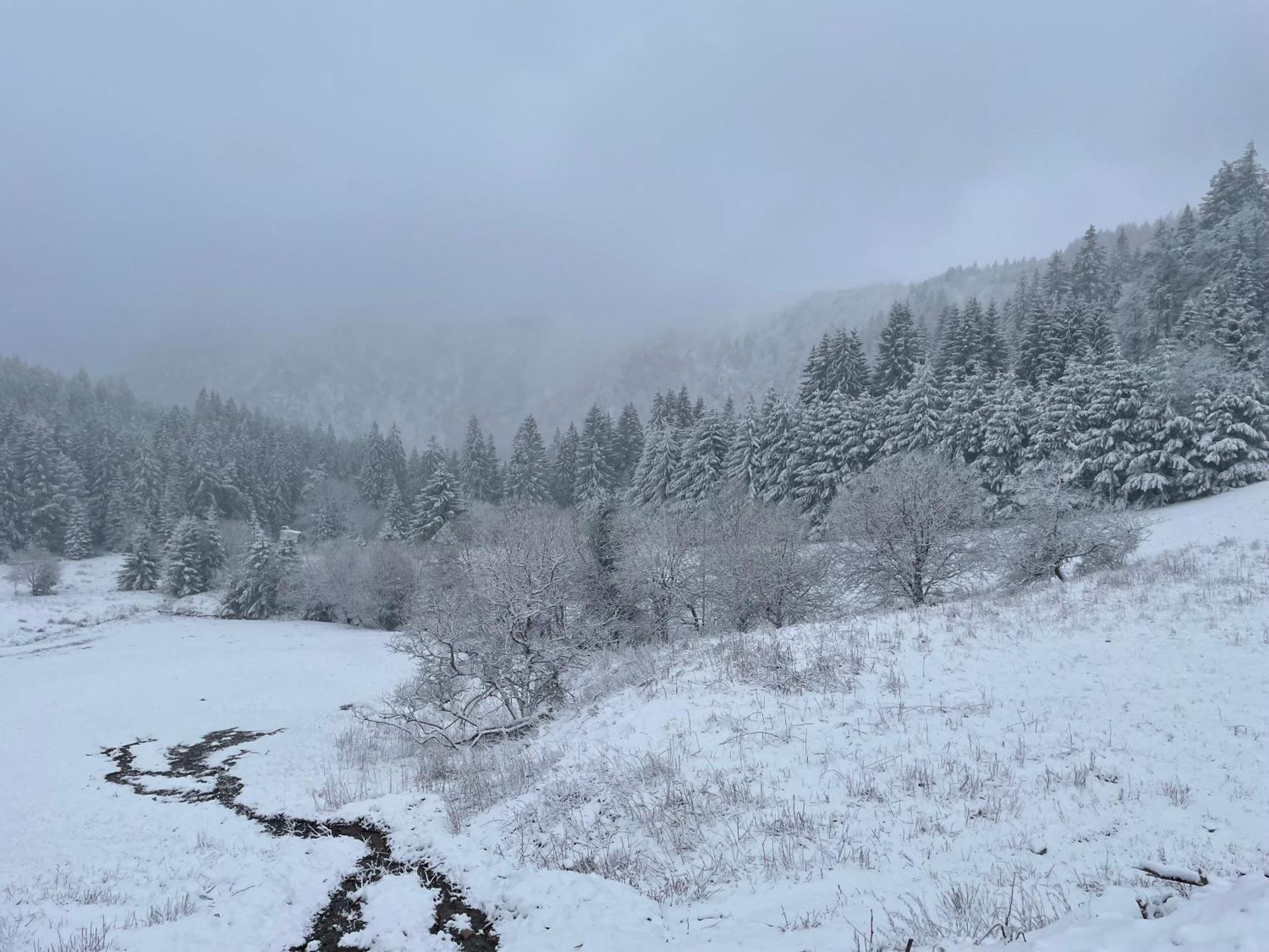 Appartement - Au Coeur Du Lac Blanc Orbey Exteriér fotografie