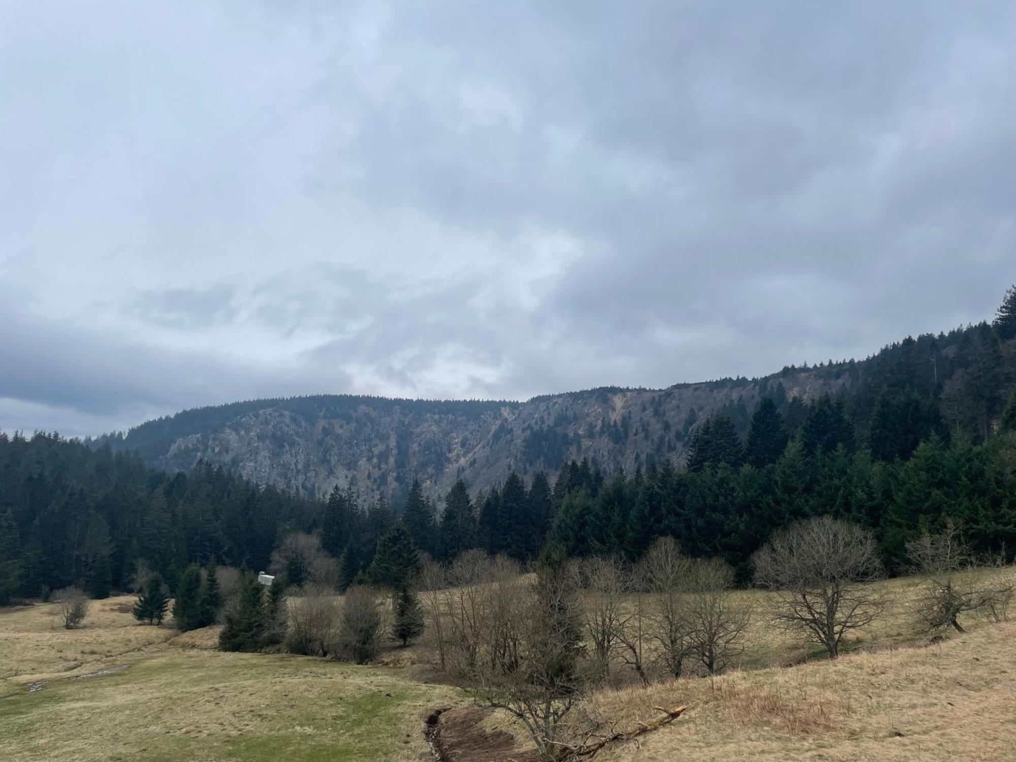 Appartement - Au Coeur Du Lac Blanc Orbey Exteriér fotografie